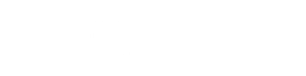 financiado por la ue